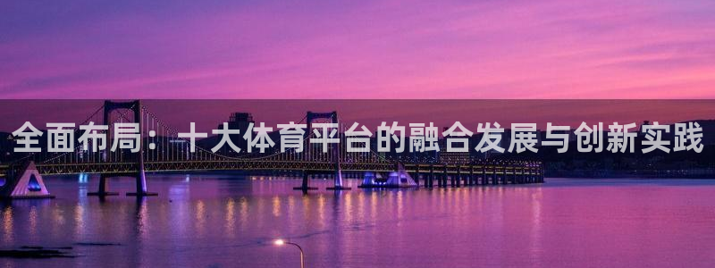 全面布局：十大体育平台的融合发展与创新实践